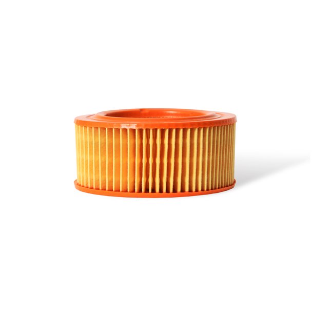 Motor protection filter